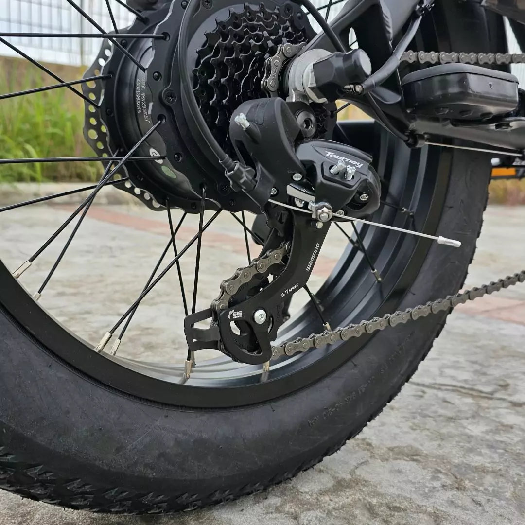 Fat Bike Grand Tour v1.0 250W 48V