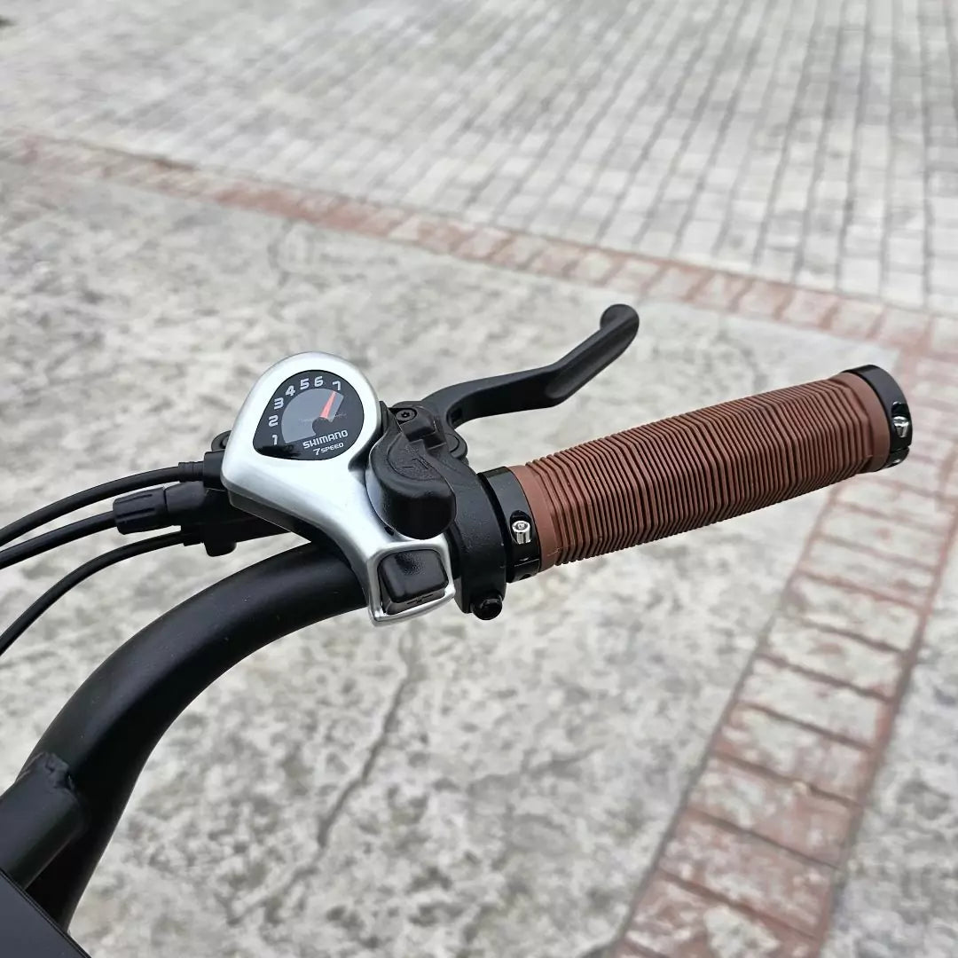 Fat Bike Grand Tour v1.0 250W 48V
