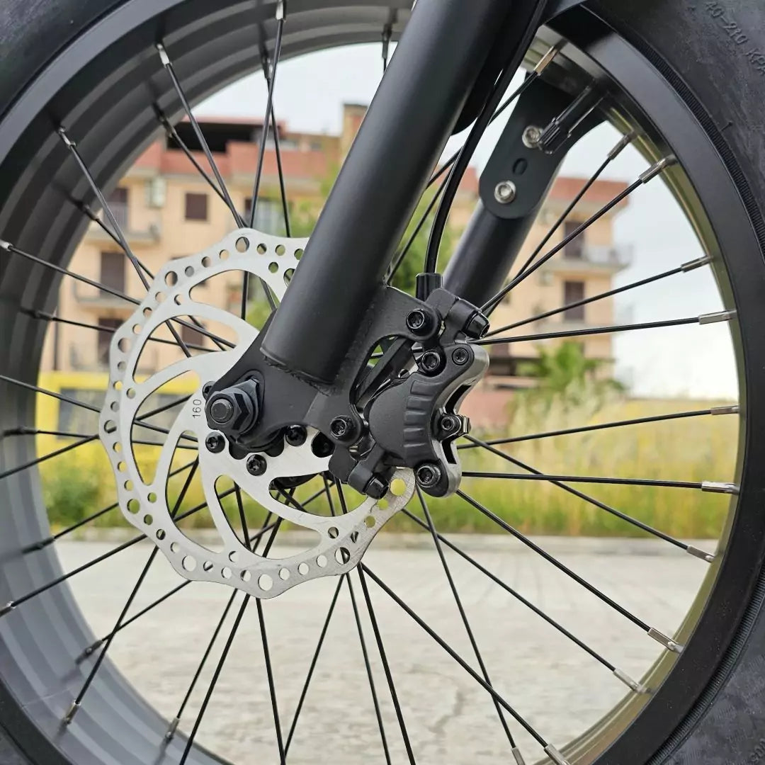 Fat Bike Grand Tour v1.0 250W 48V