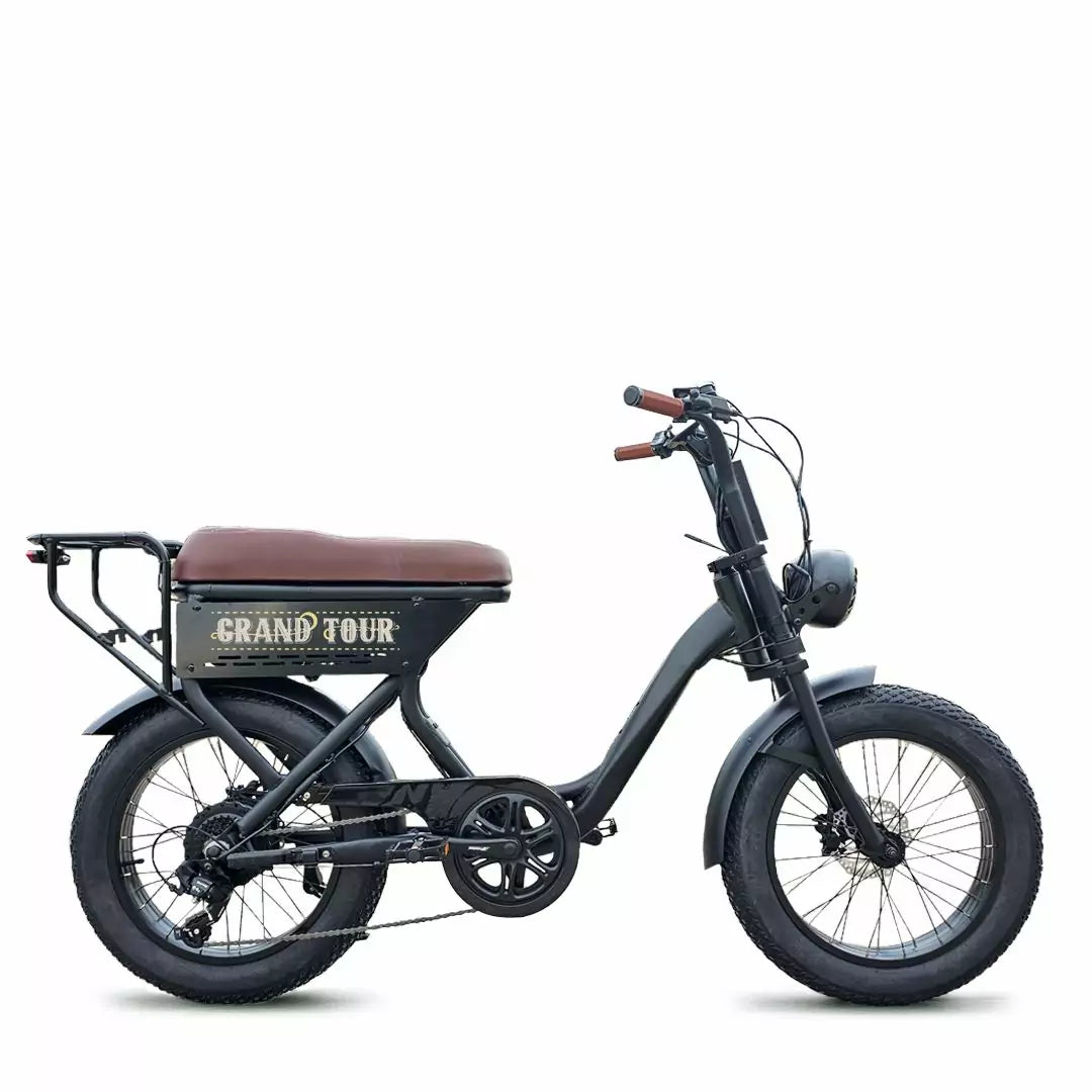 Fat Bike Grand Tour v1.0 250W 48V